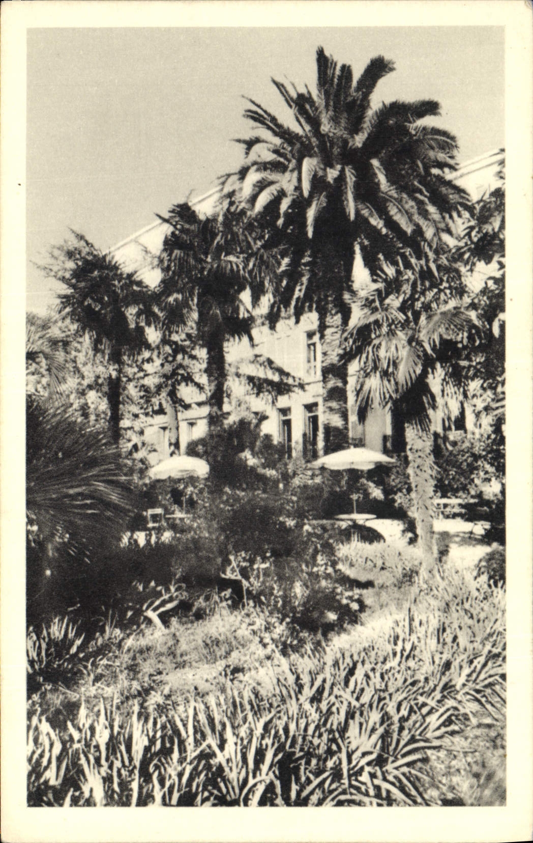 CPA Hyeres Var Hotel Lutetia 