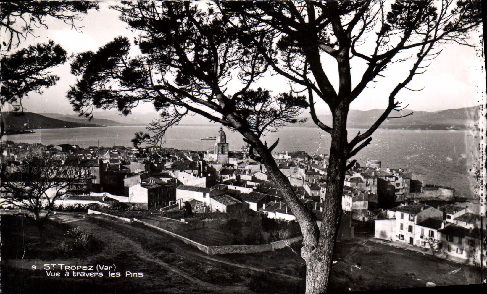 CPA Saint Tropez Var Vue a travers les Pins