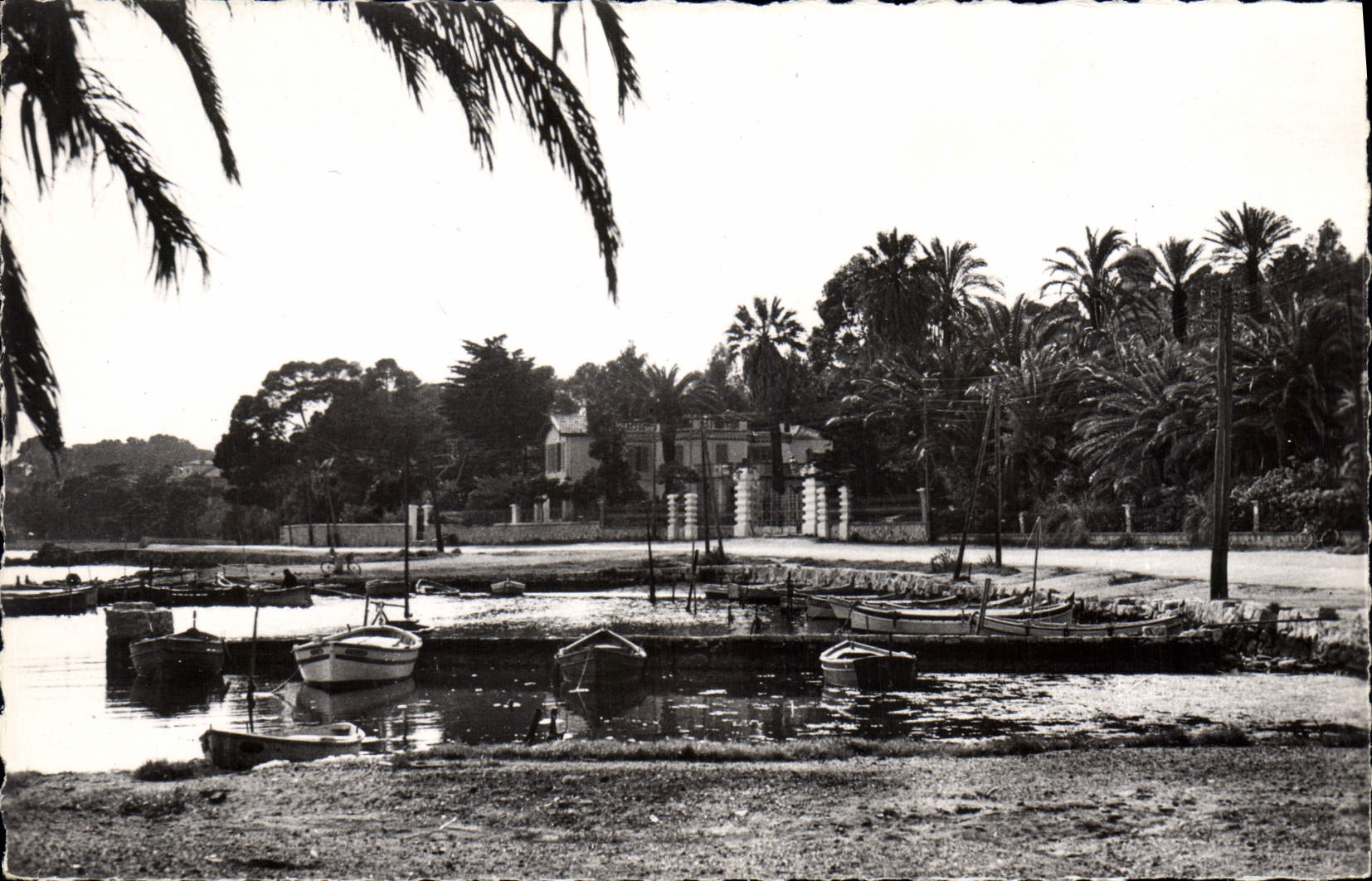 CPA La Seyne Var Le Manteau route de Tamaris