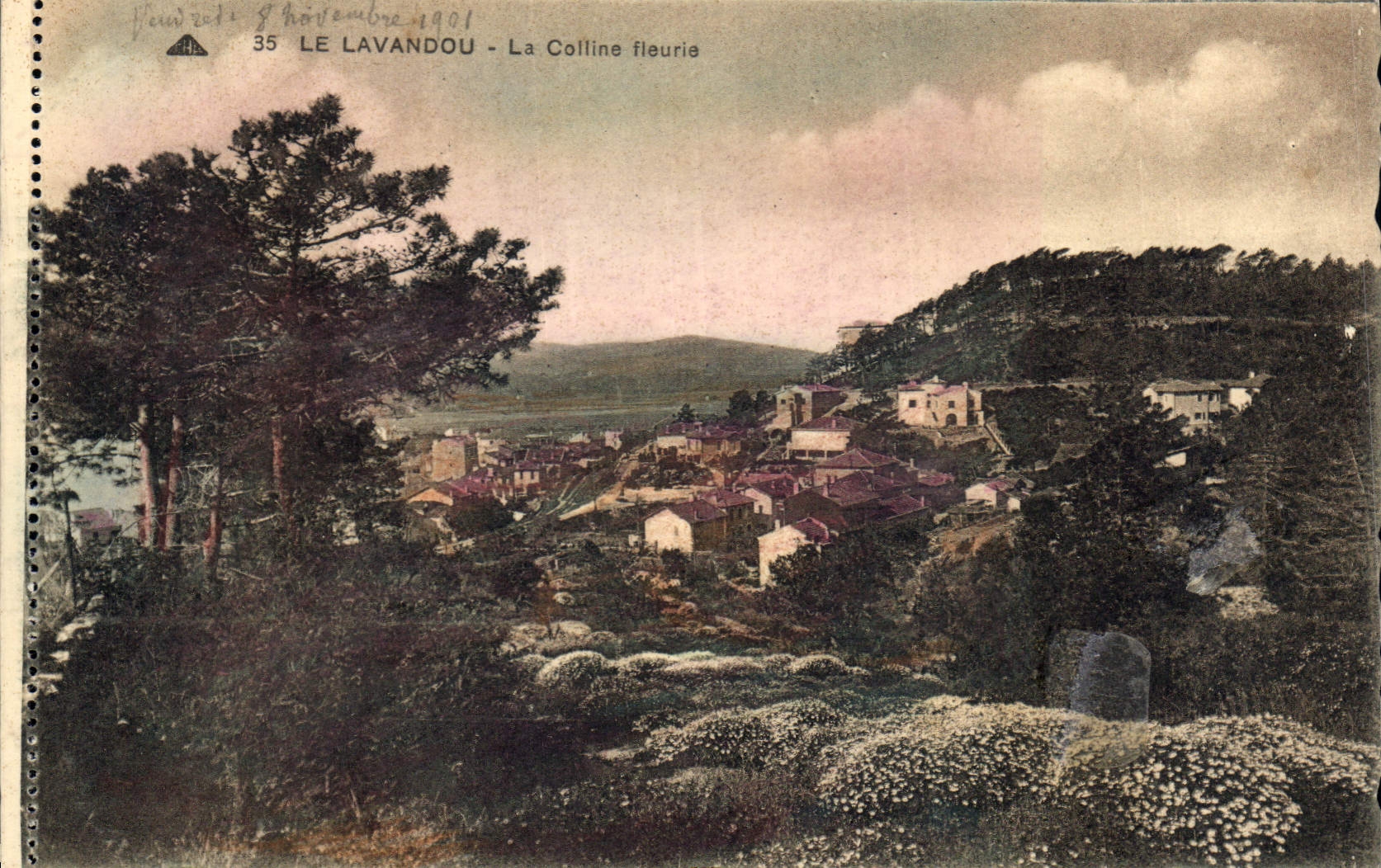 CPA Le Lavandou La Colline fleurie 