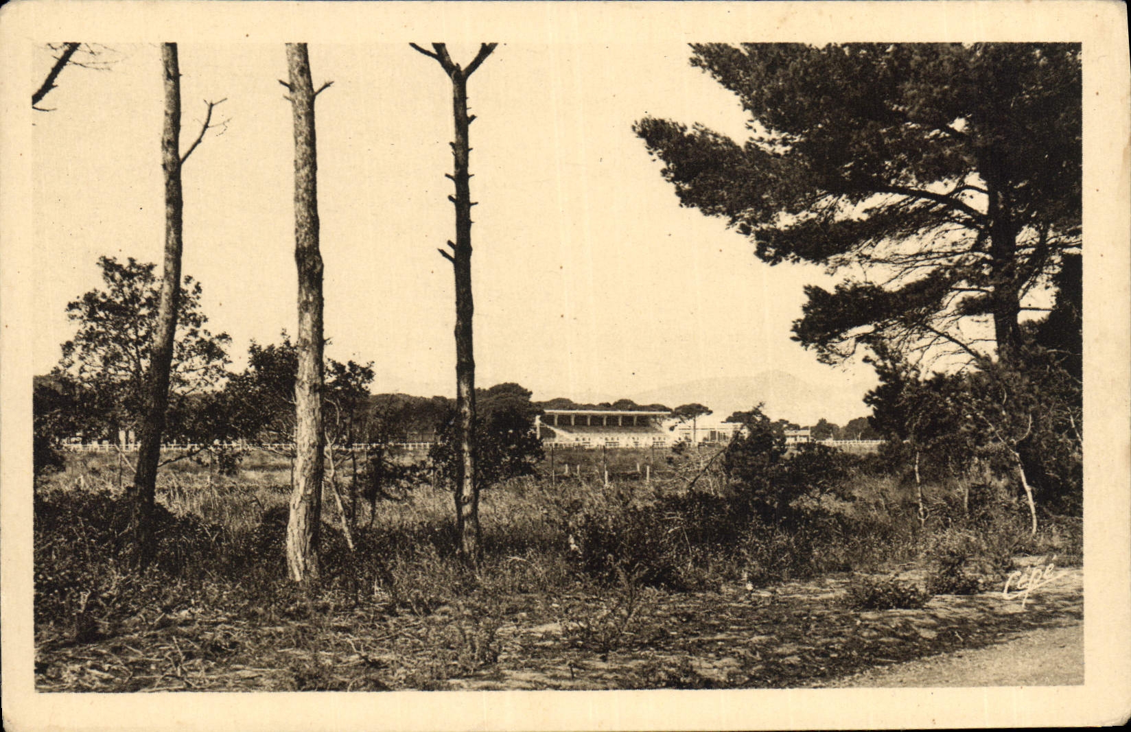CPA Hyeres Hippodrome de la Plage et ses pins magnifiques