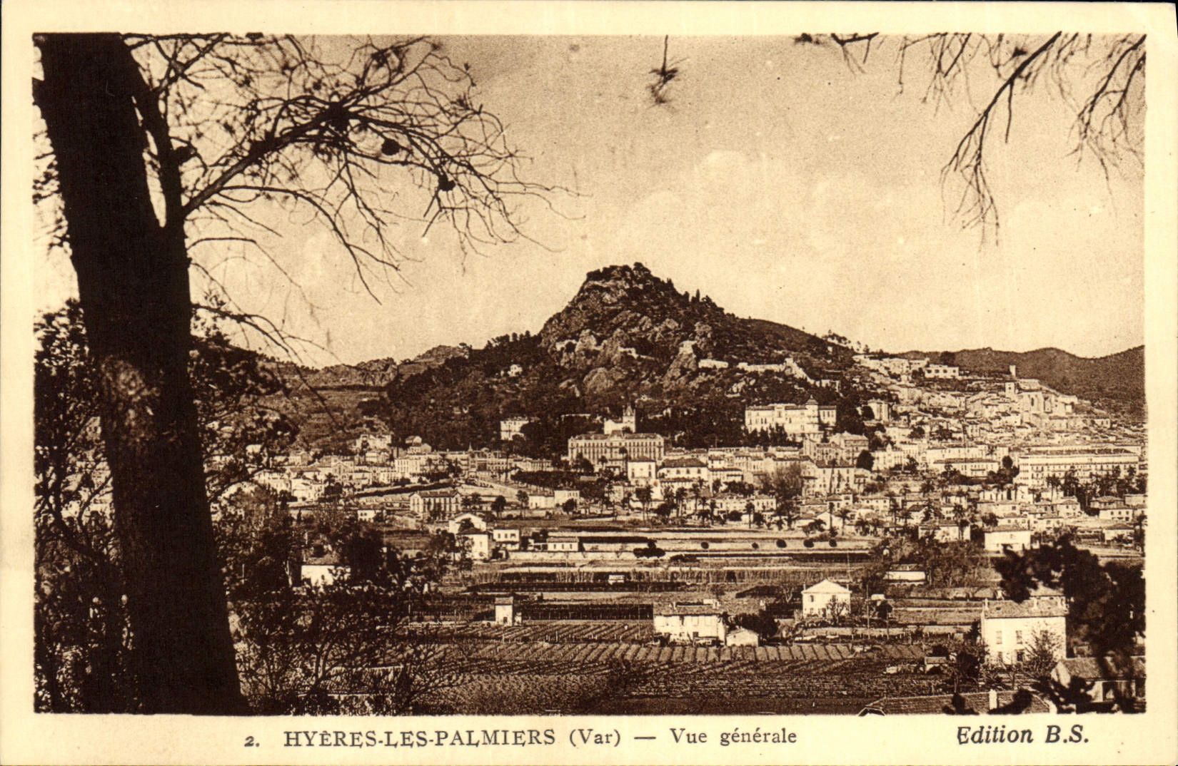 CPA Hyeres les Palmiers Var Vue generale