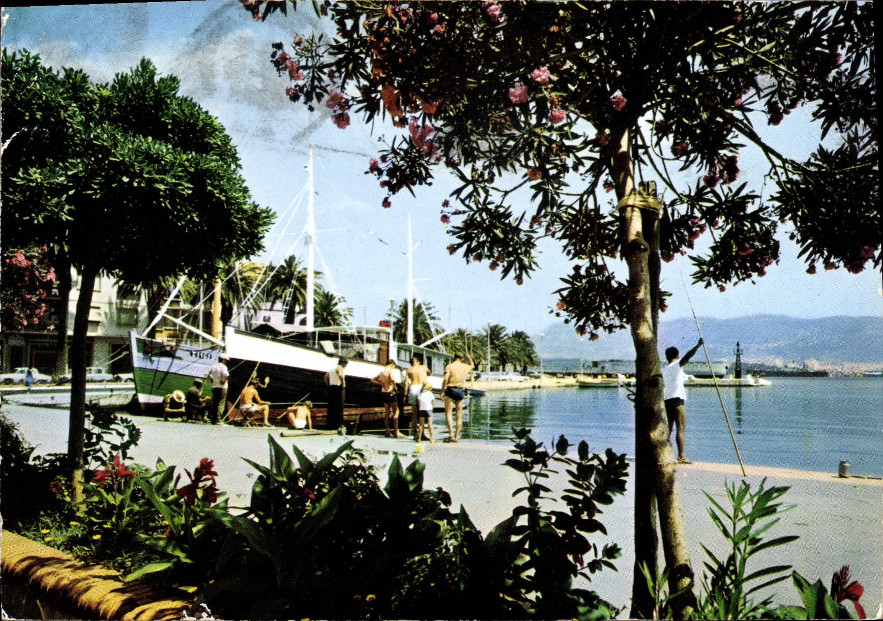 CPSM La Seyne La beaute du decor le plaisir de la peche
