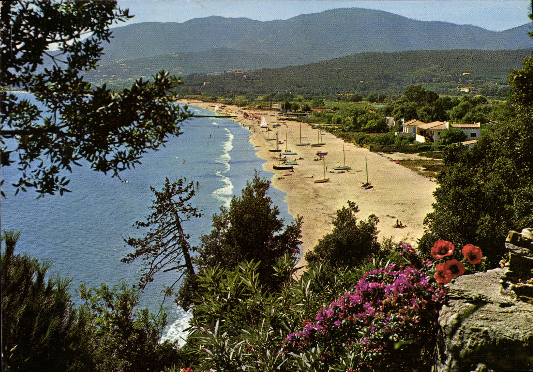 CPSM Paysage tipique en bord de Mediterranee Croix Valmer Var La plage de la Croix 