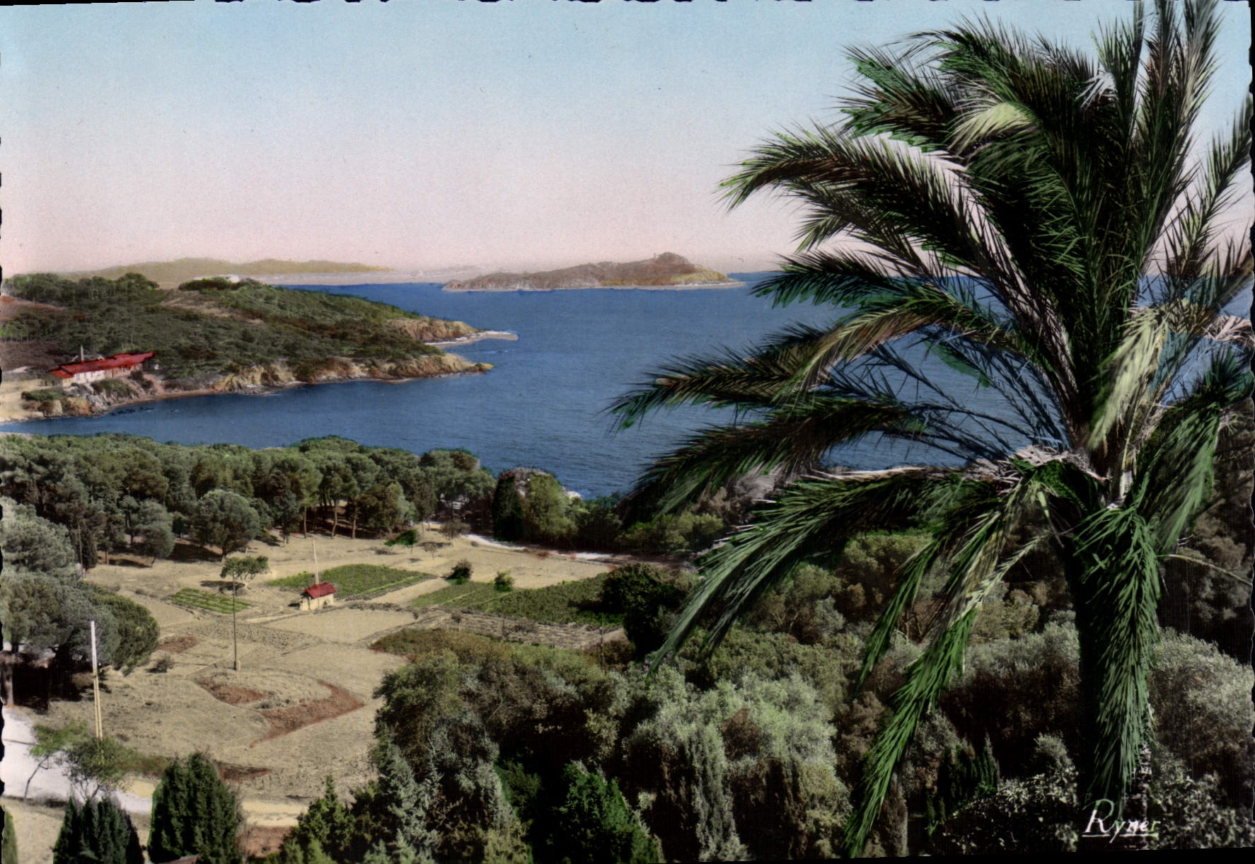 CPSM Le Littoral Mediterraneen Presqu'ile de Giens l'ile de Ribeaud Vue du Village 