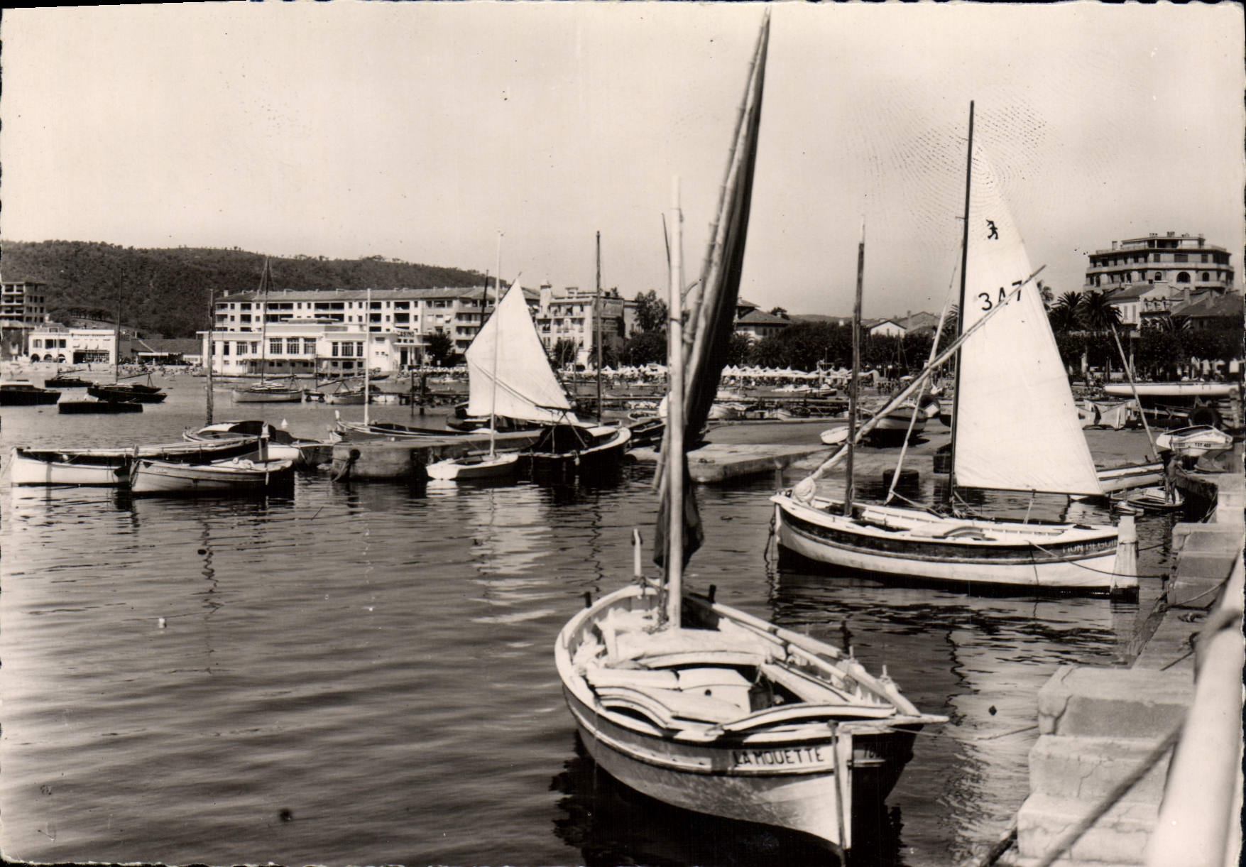 CPSM La Cote d'Azur Ste Maxime sur Mer Le Port