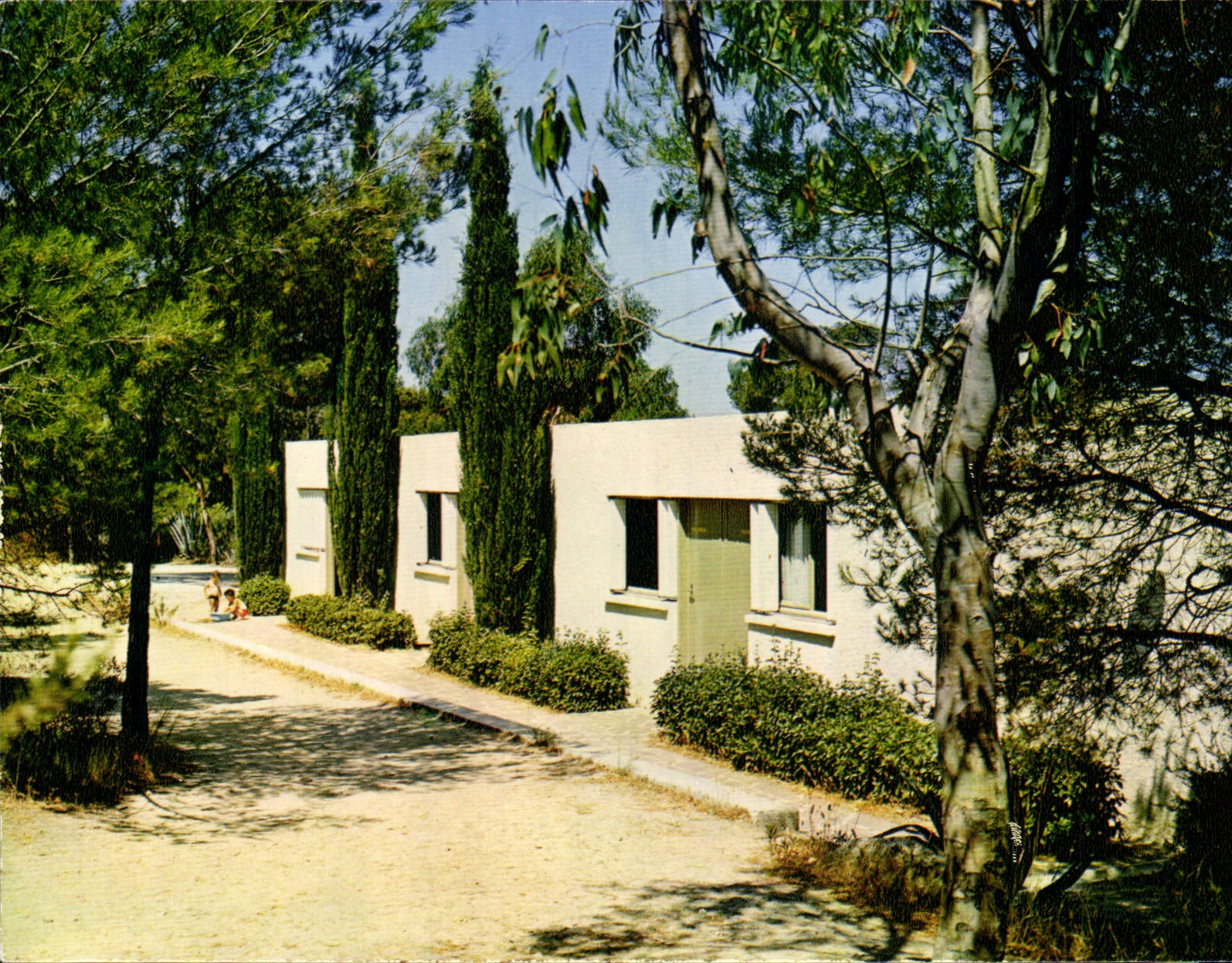 CPSM Village Vacances Familles Les Pavillons a l'abri des Eucalyptus Le Pradet 