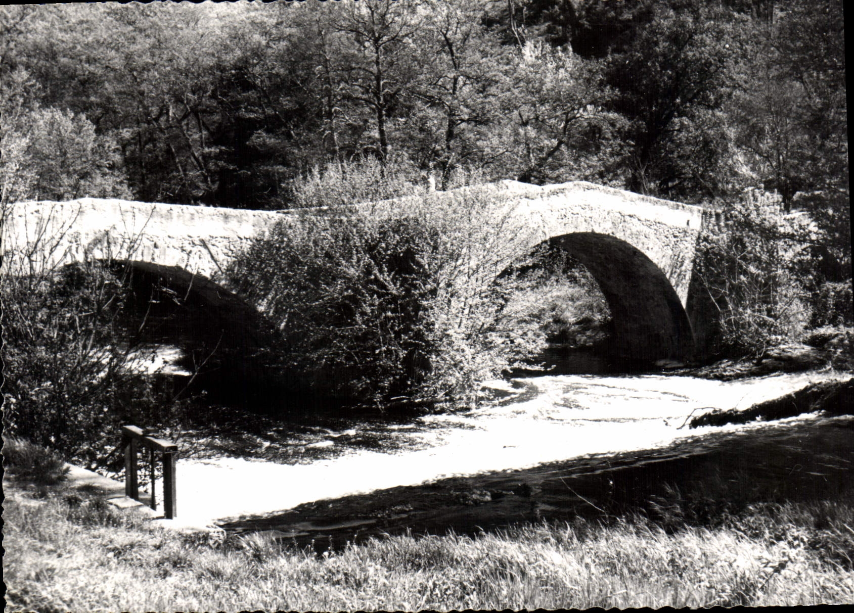 CPSM Notre belle France Vins sur Caramy Pont sur le Caramy 
