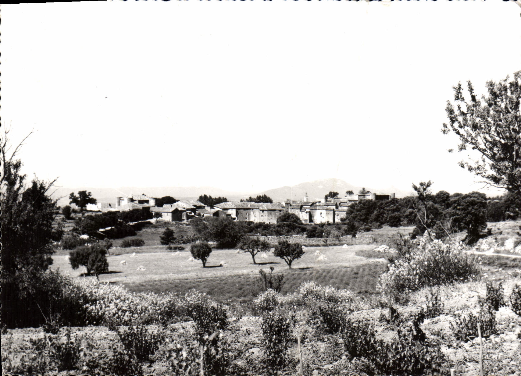 CPSM Tourtour Var Vue generale 