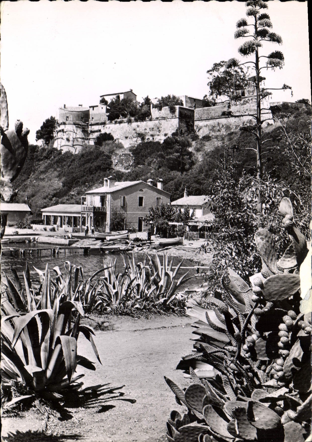 CPSM Ile de Port Cros Vue sur le Port 