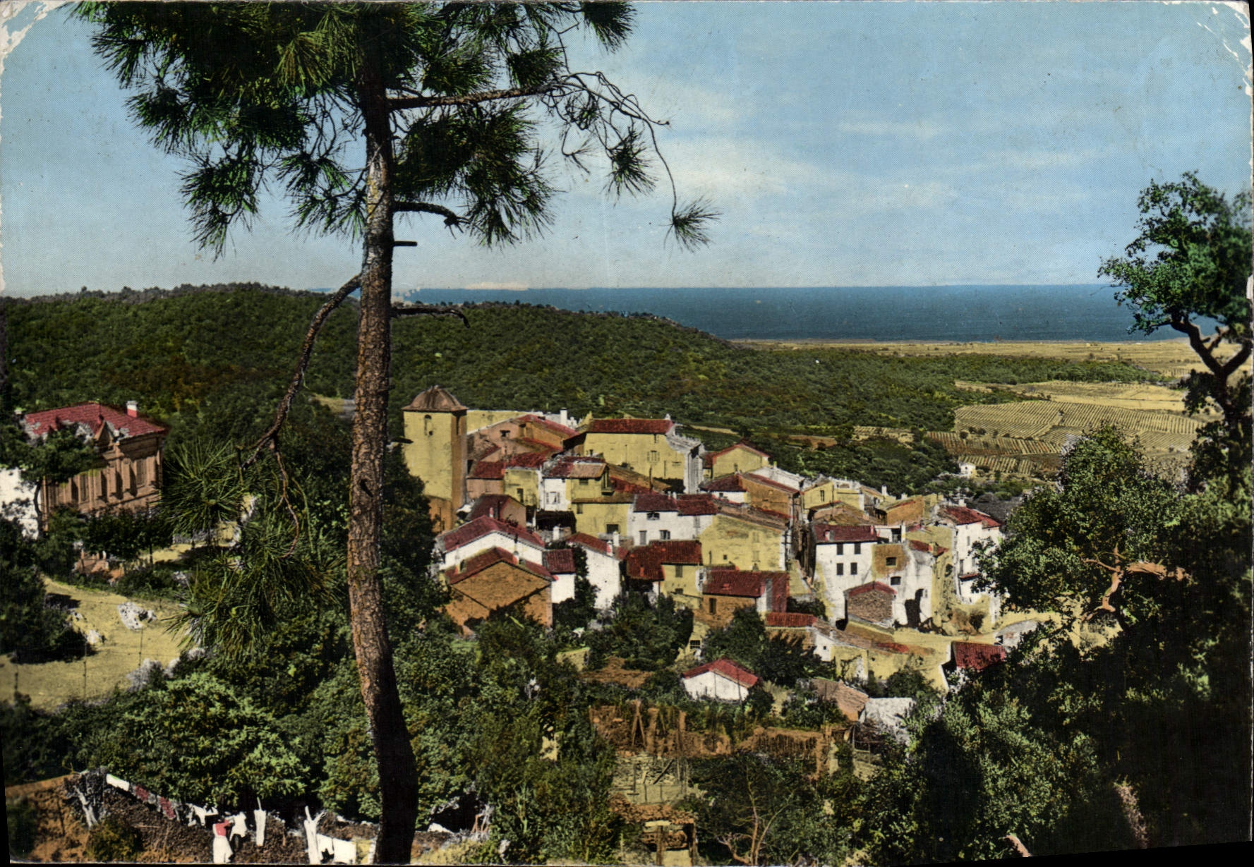 CPSM La Cote d'Azur Ramatuelle Var Vue d'ensemble La plaine et la mer
