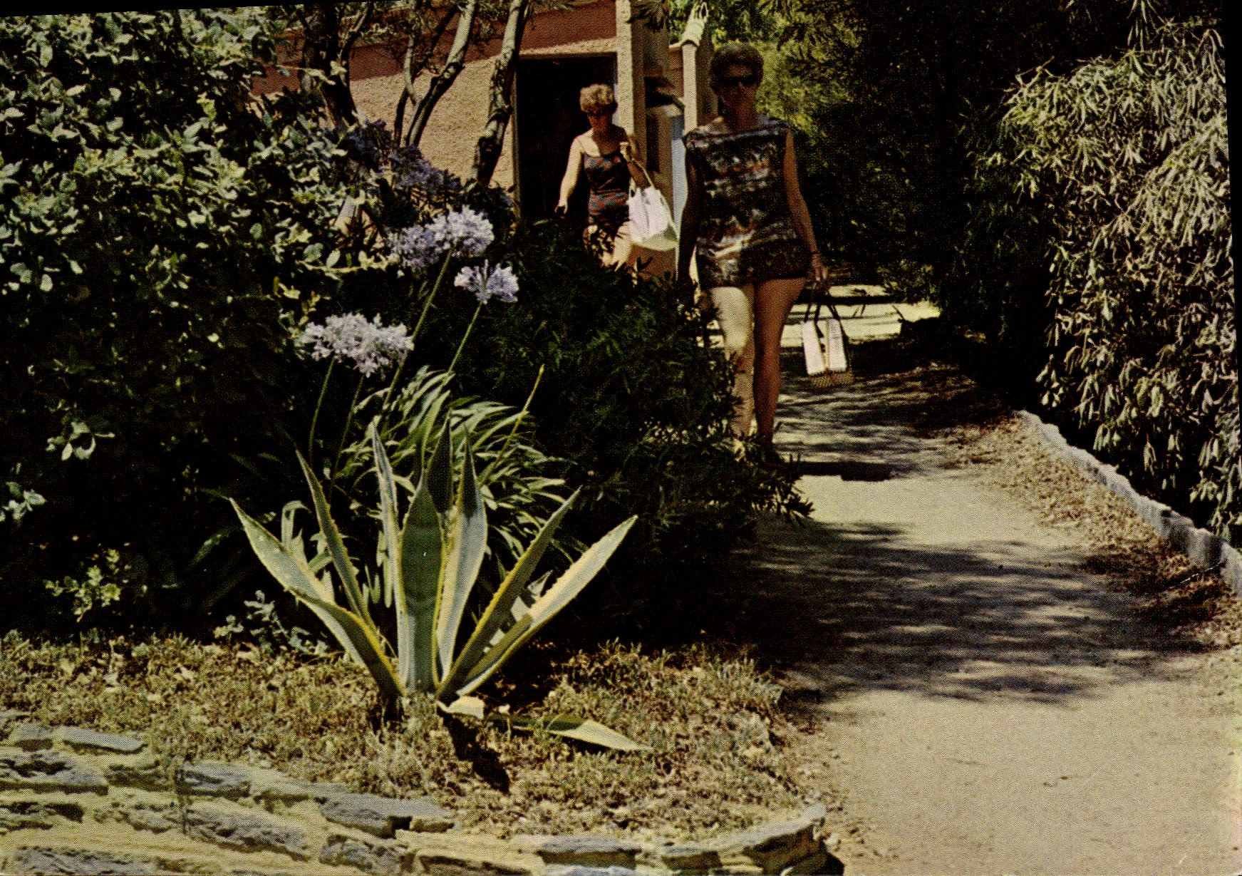 CPSM Village de Vacances du touring club de France Pramousquier 