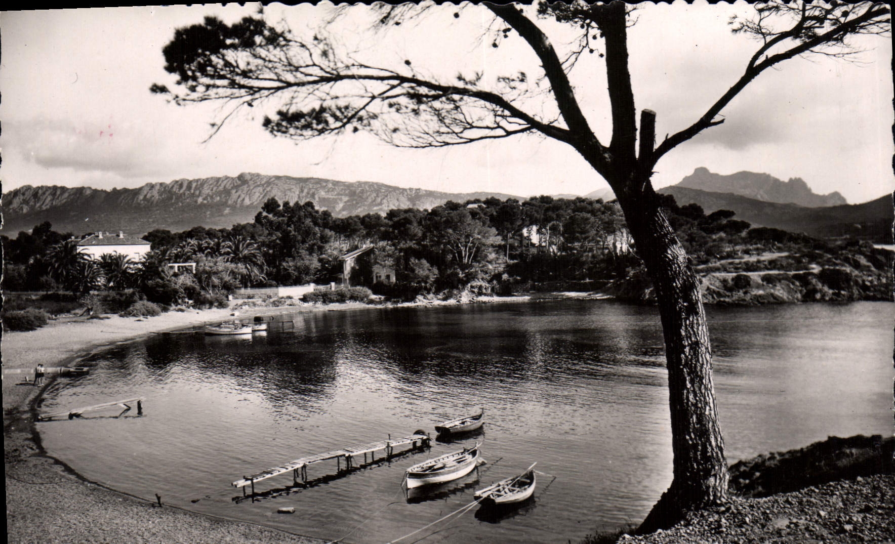 CPSM La Cote D'Azur St Raphael Var Agay La Baie de Champ Long