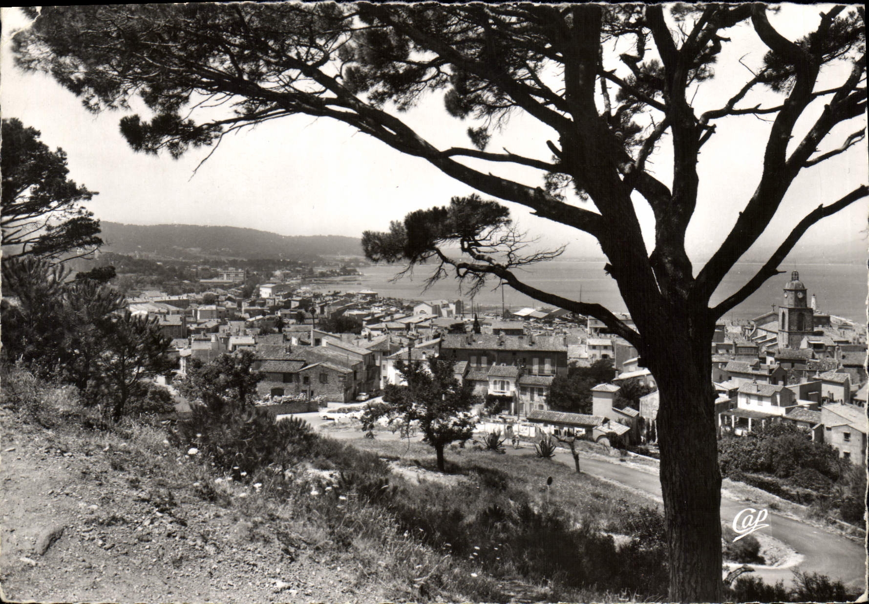 CPSM St Tropez Var Vue generale 
