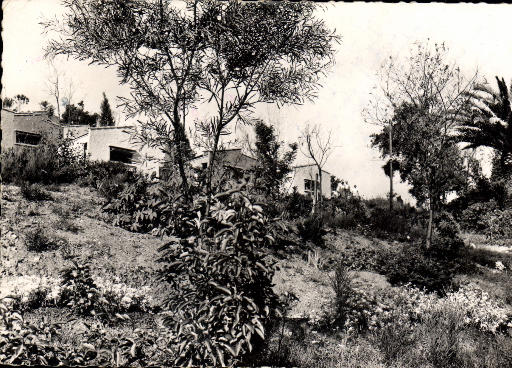 CPSM Village de Vacances du T C F Pramousquier Cap Negre Var Un coin du Village de Vacances 