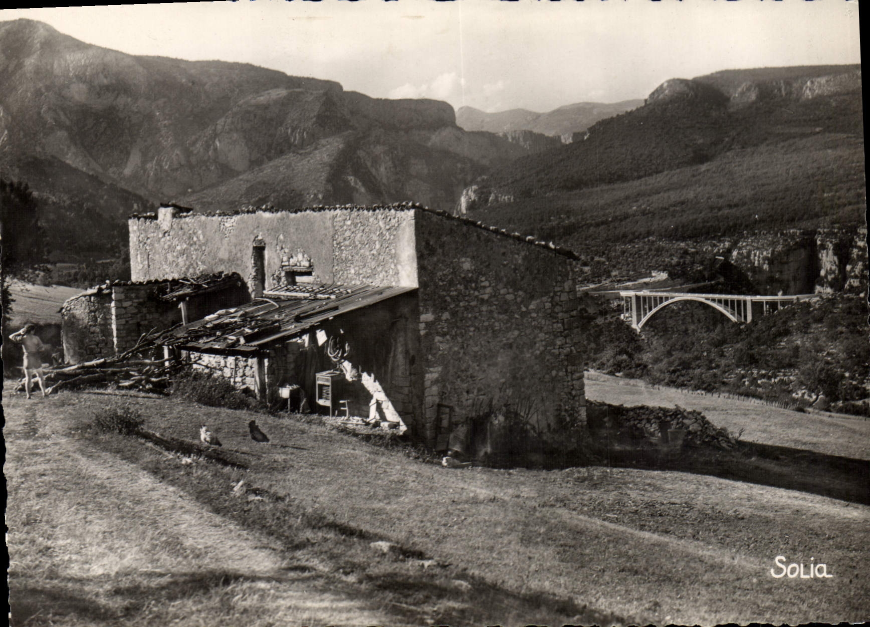 CPSM Pont de L'Artuby et Ferme des Sardons 