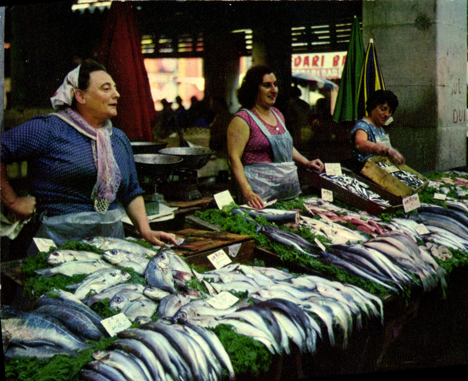 CPSM Toulon Var Le Marche aux Poissons 