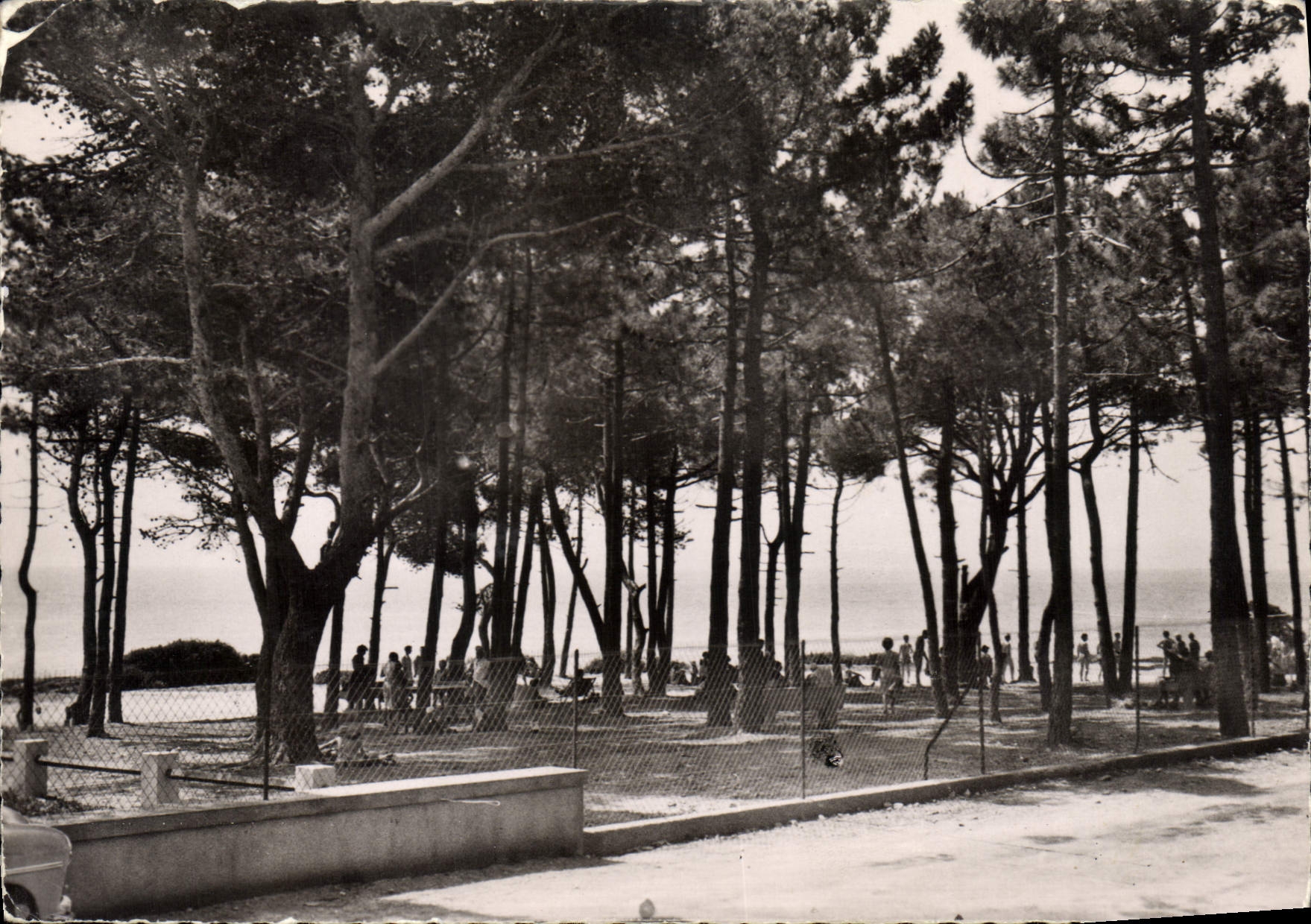 CPSM Les Issambres Village du T C F La Pinede