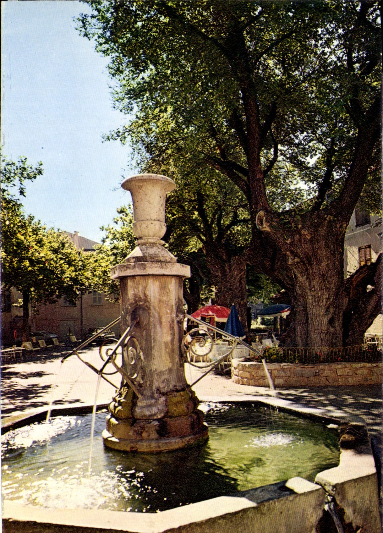 CPSM Tourtour Var La fontaine et les ormeaux de Sully