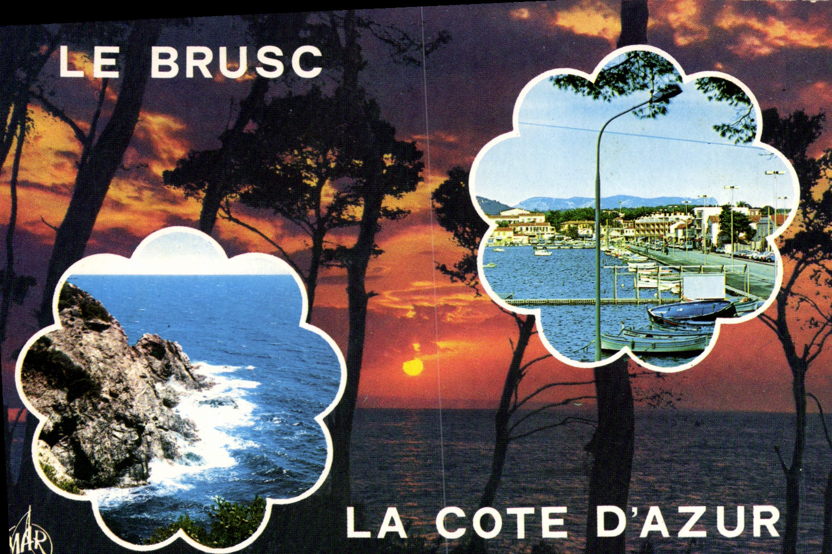 CPSM La Cote D'Azur Le Brusc Var 