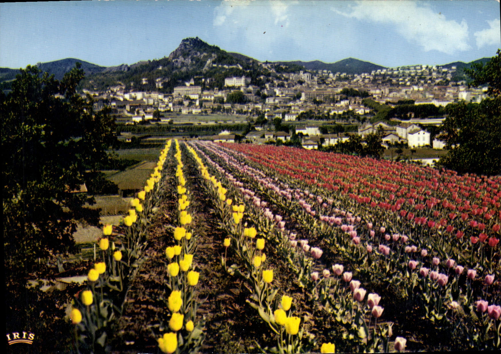 CPSM La Cote D'Azur Hyeres les Palmiers Var Vue generale 