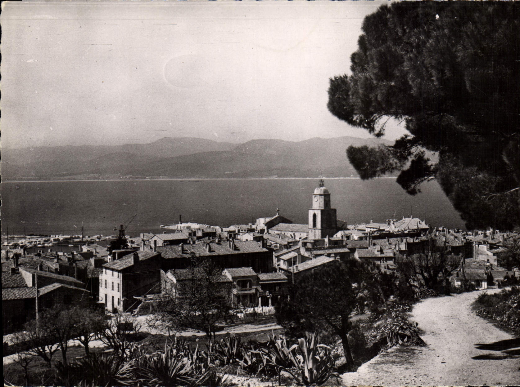 CPSM Cote D'Azut Varoise St Tropez Vue generale prise du Chemin de la Citadelle