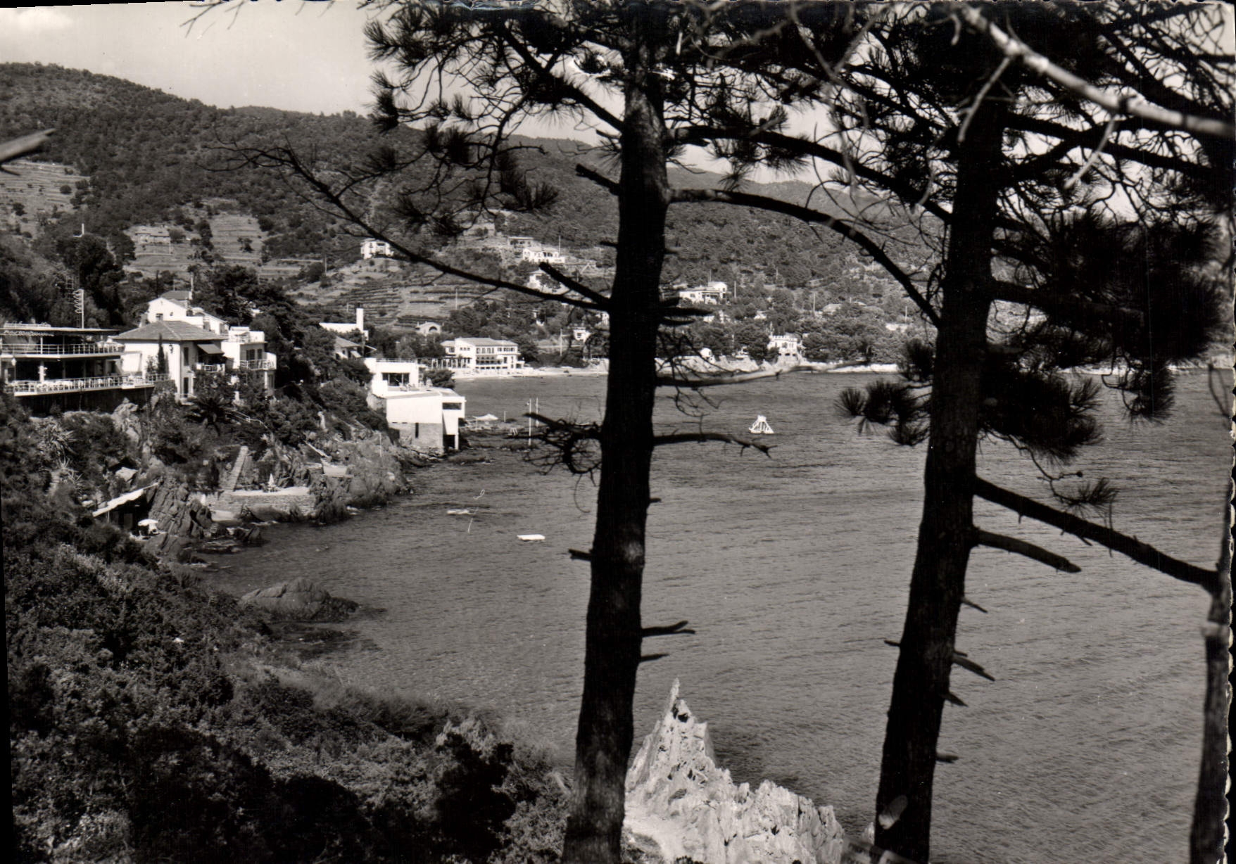 CPSM La Cote des Maures Environs du Lavandou Aiguebelle Les Hotels et la Plage