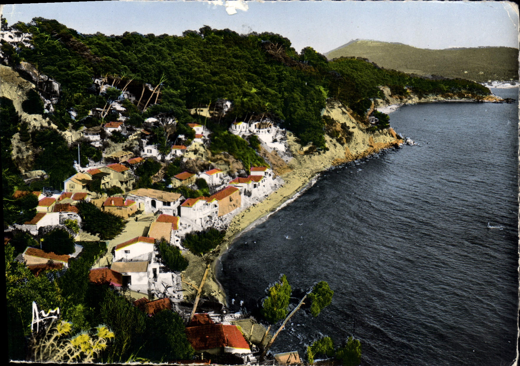 CPSM Cote D'Azur Toulon Pin de Galle 