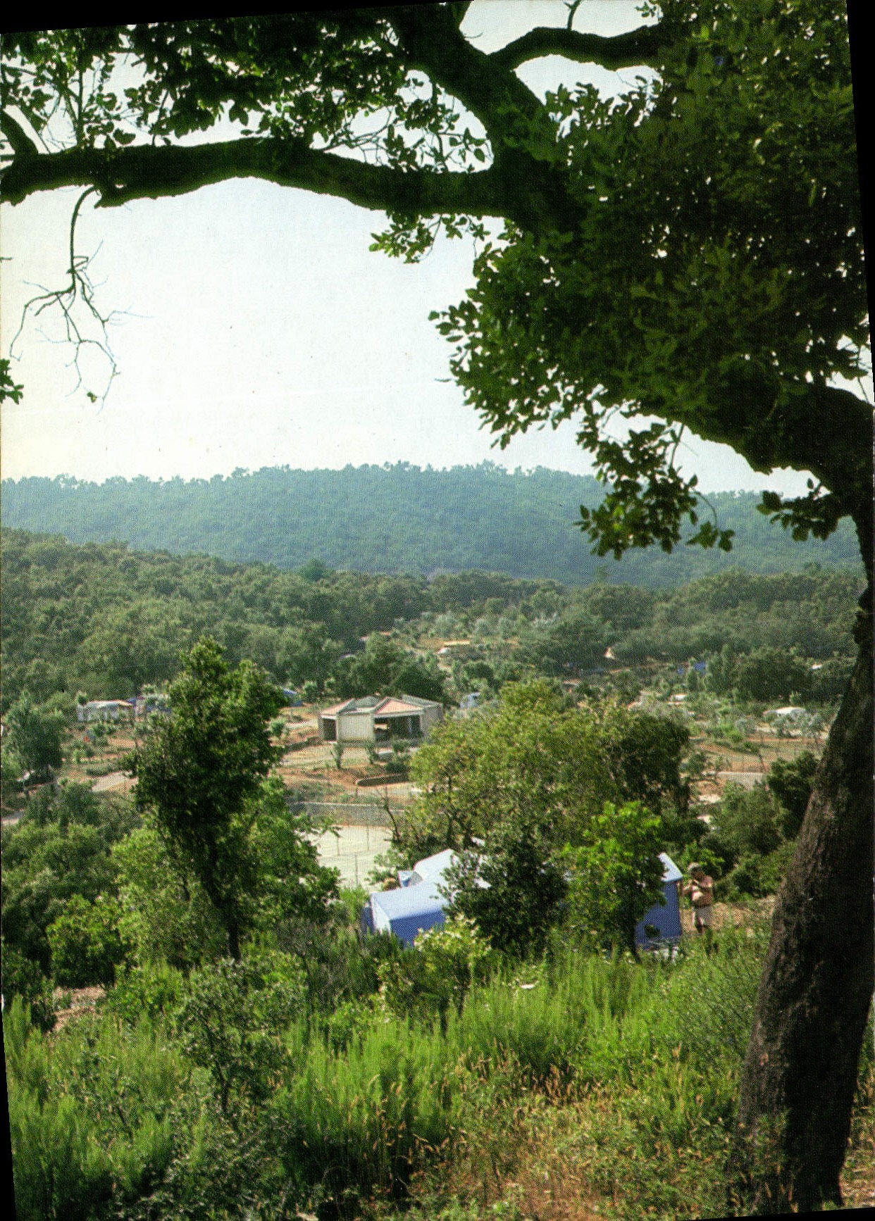 CPSM Le Graffionier Village de vacances du Comite Central d'Entreprise D'Air France Gassin Var 