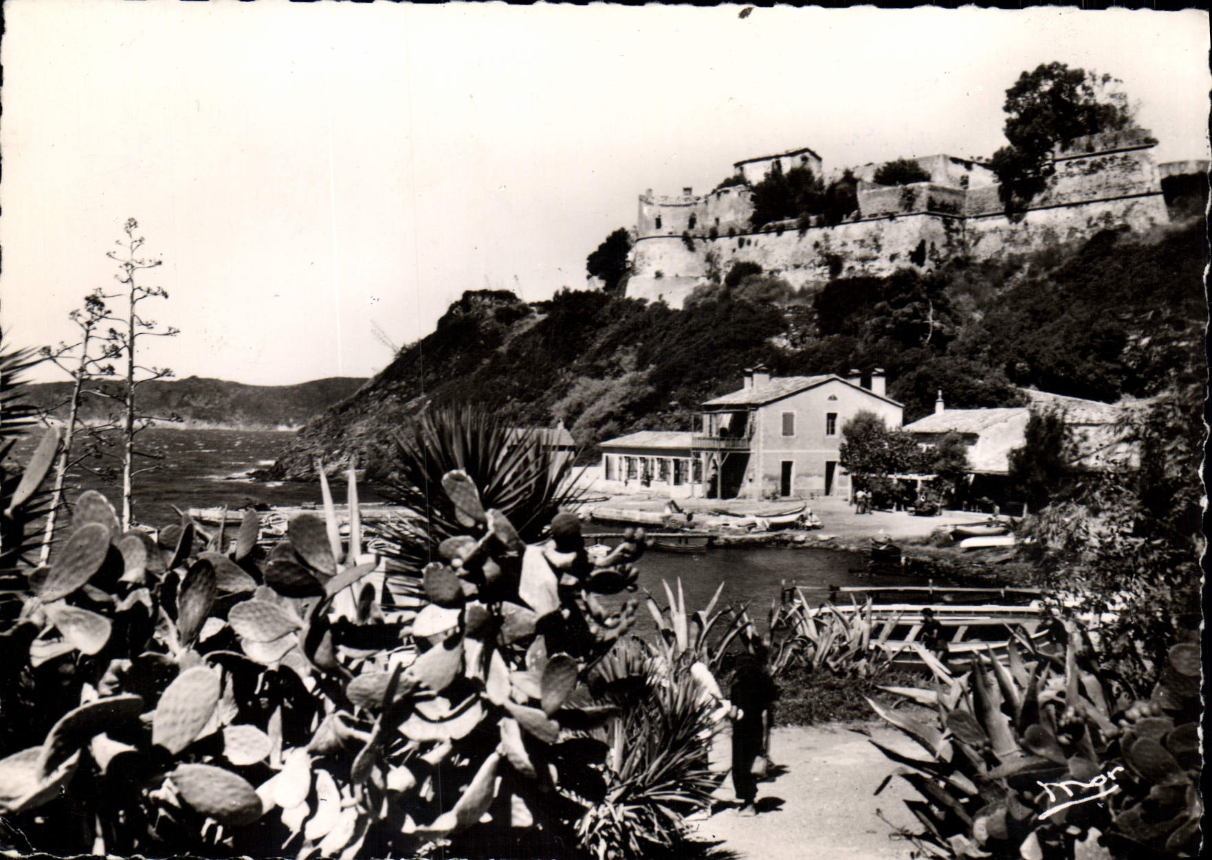 CPSM Les Iles d'Or Ile de Port Gros Var Un coin du Port et le Fort 