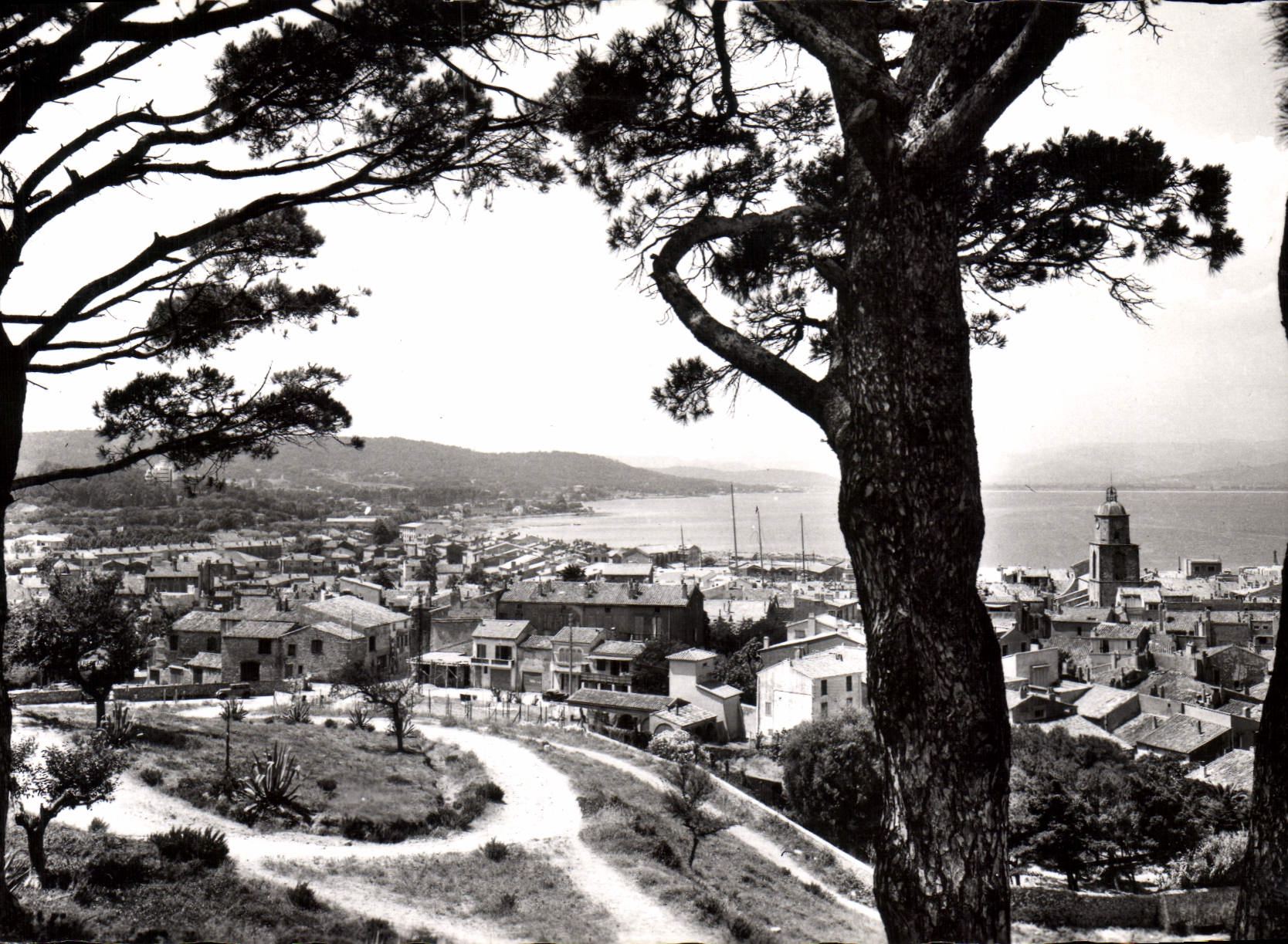 CPSM St Tropez Var Vue generale 