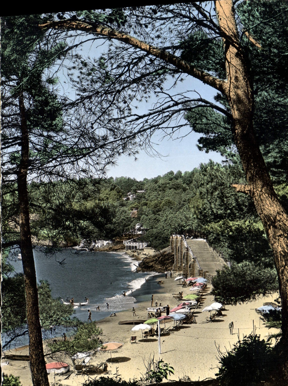 CPSM Cote D'Azur Le Rayol La Plage et la pinede 