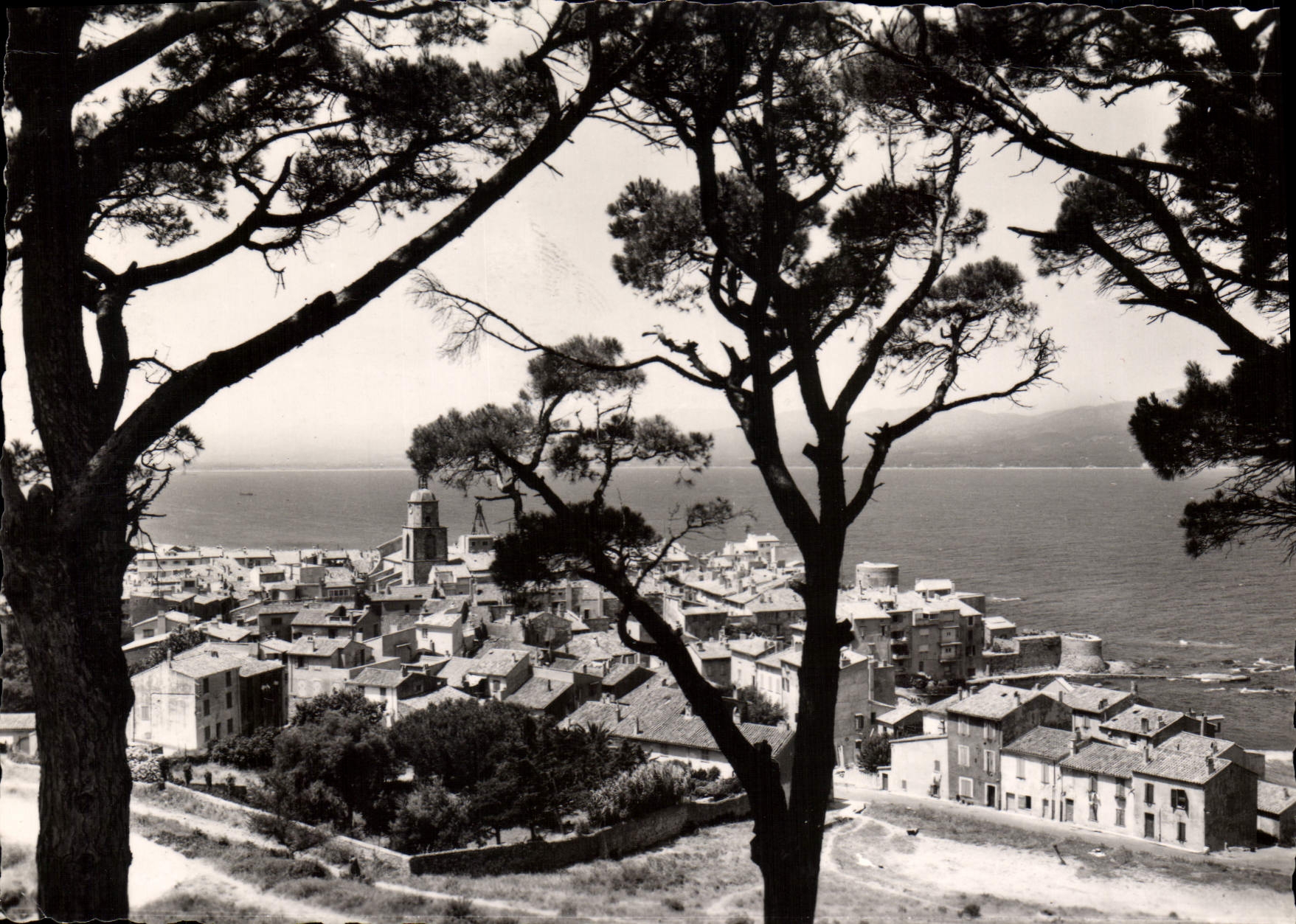 CPSM St Tropez Var Vue generale prise du Fort