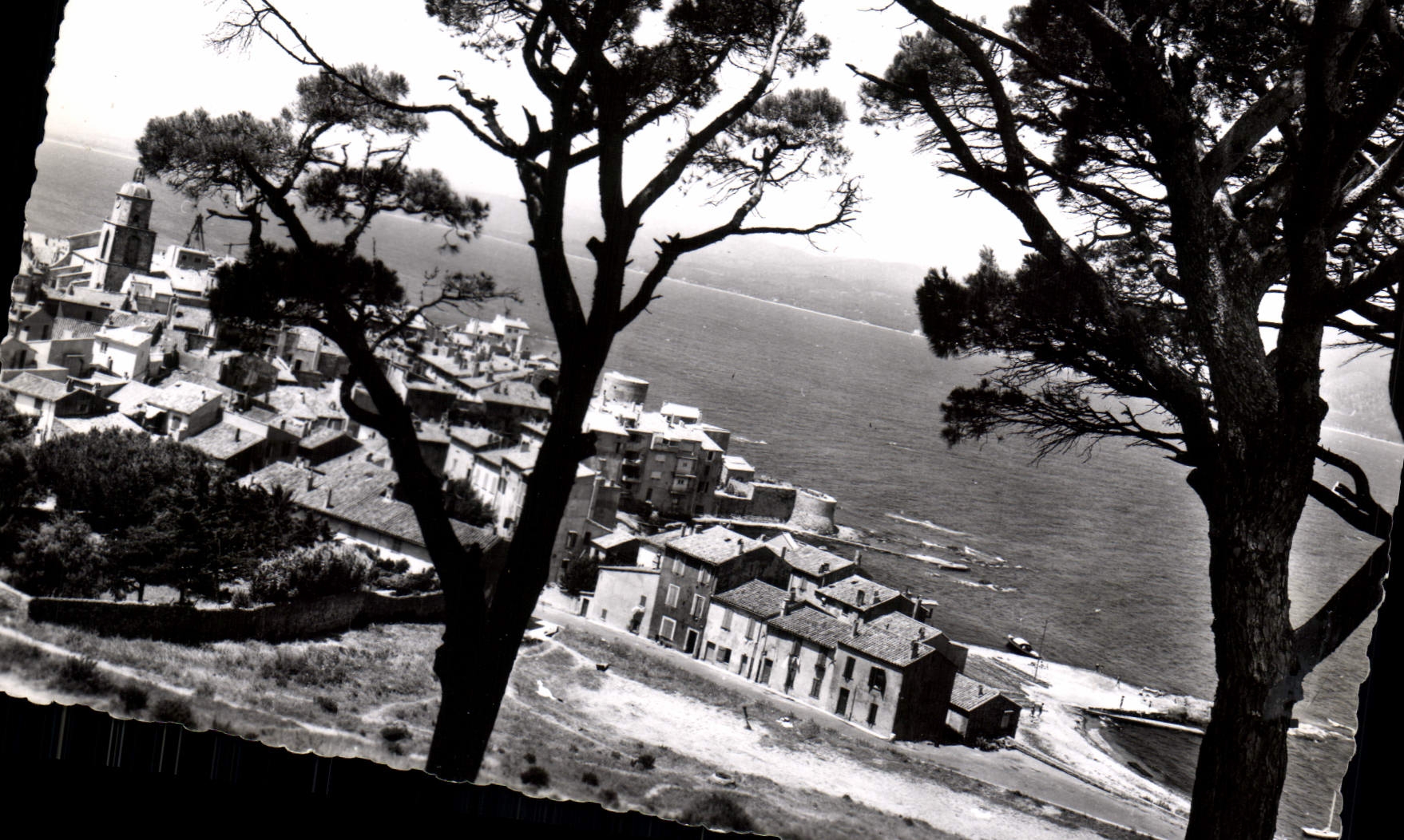 CPSM St Tropez Var Vue generale 