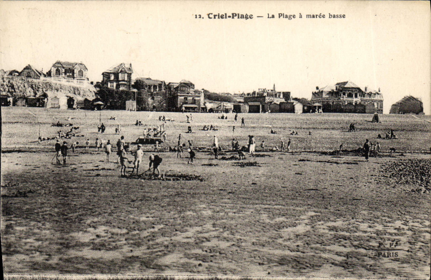 CPA Criel Plage la plage a maree basse
