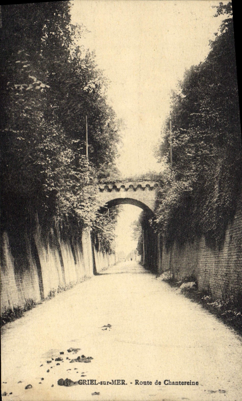 CPA Criel sur Mer Route de Chantereine 