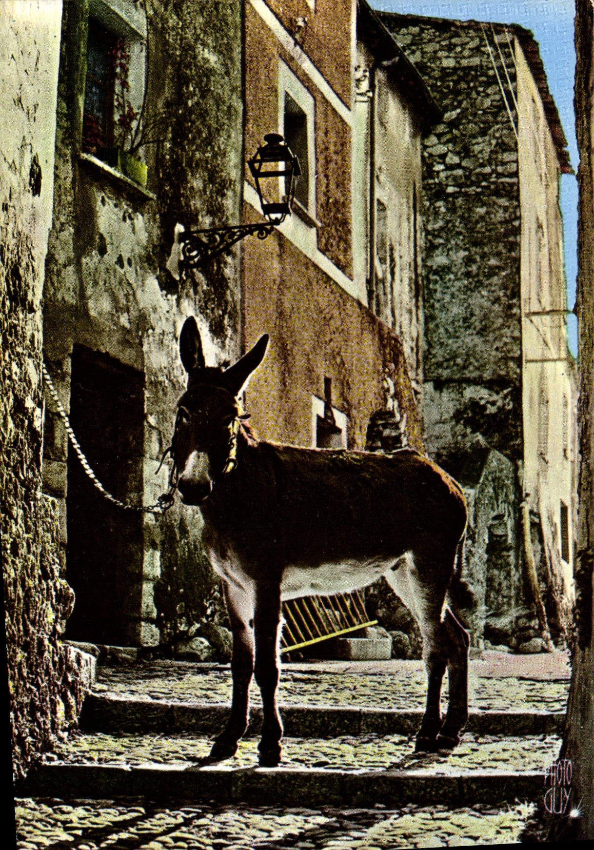 CPA Scene de Provence Ane