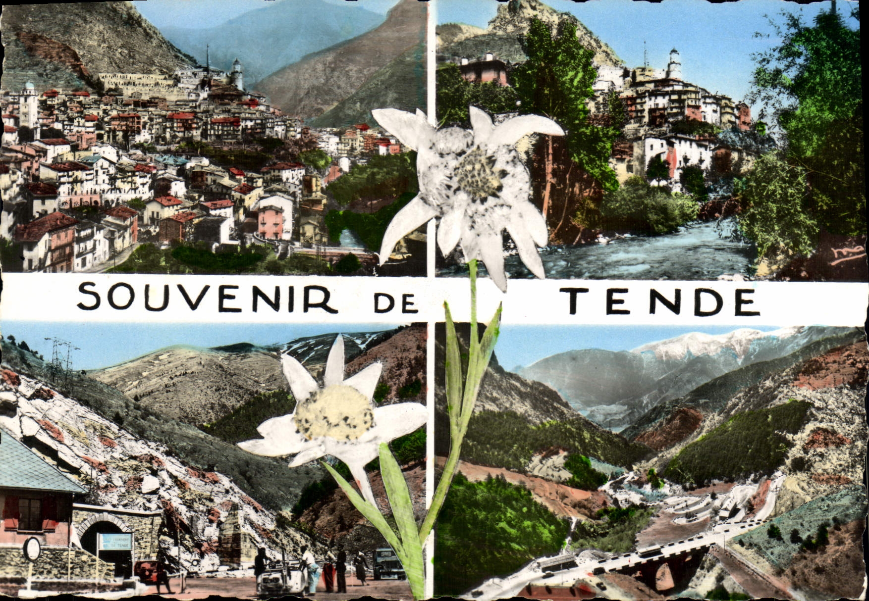 CPA Tende A M Alpes Maritimes 