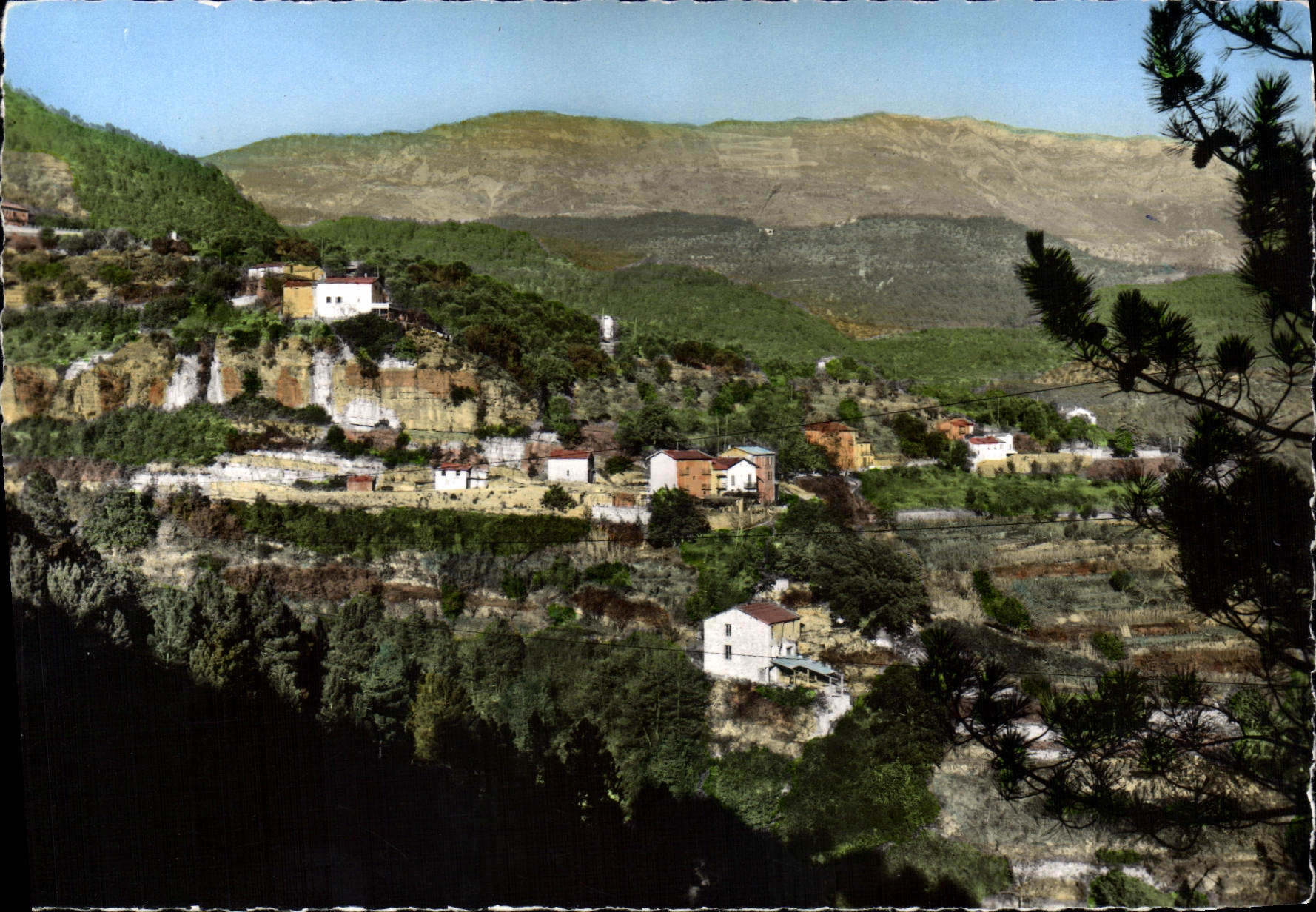 CPSM Pierrefeu A M Les quartiers Cluot et Combe de Peche au fond le Mont Vial