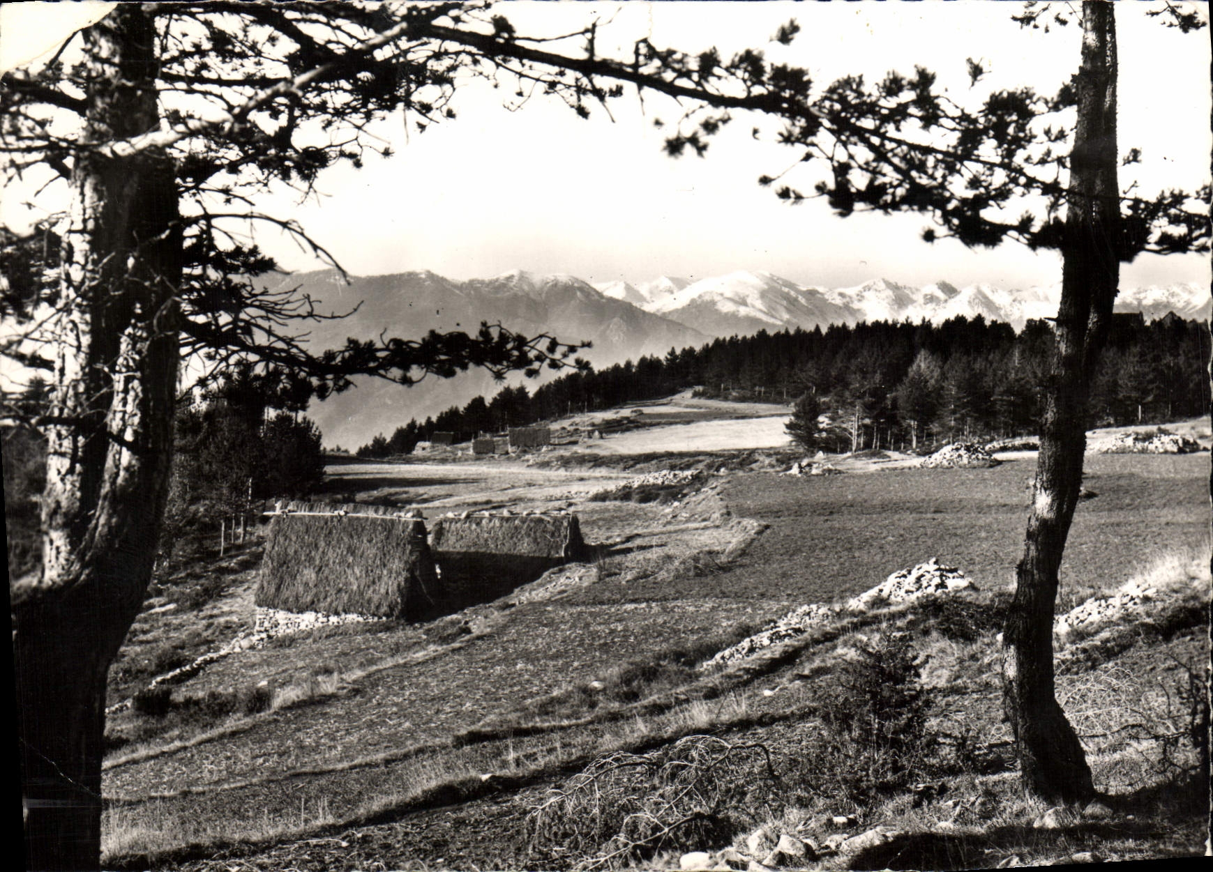 CPSM Peira Cava Vue sur les Alpes