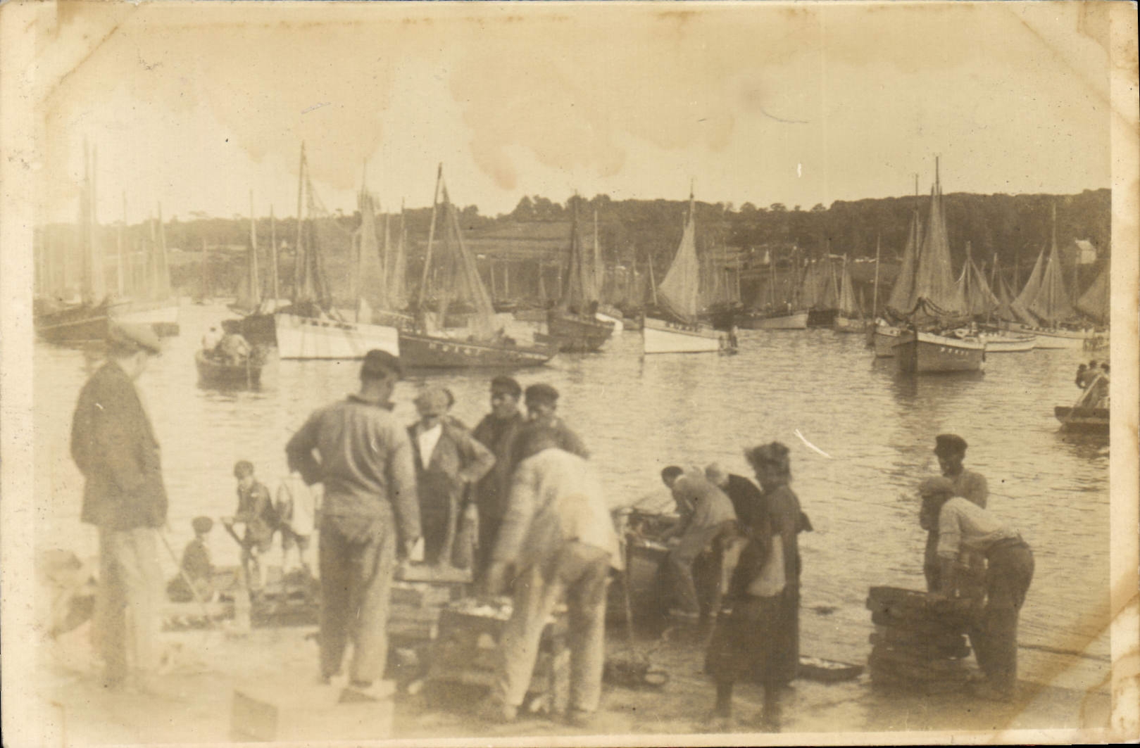 CPA Douarnenez le retour de la pêche