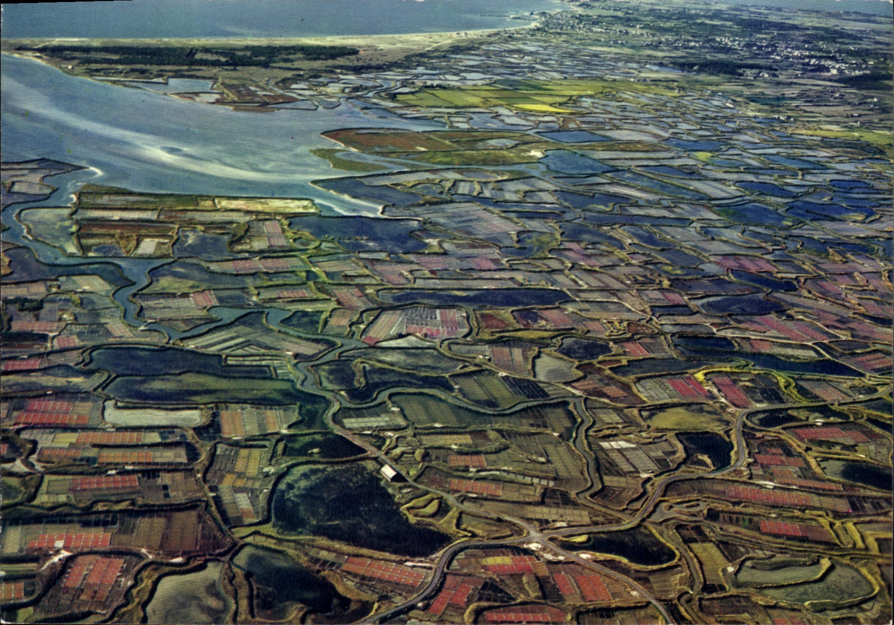 CPSM Le Pays guerandais vue aerienne des marais salants etrange mosaique ou se distingue le quadrill