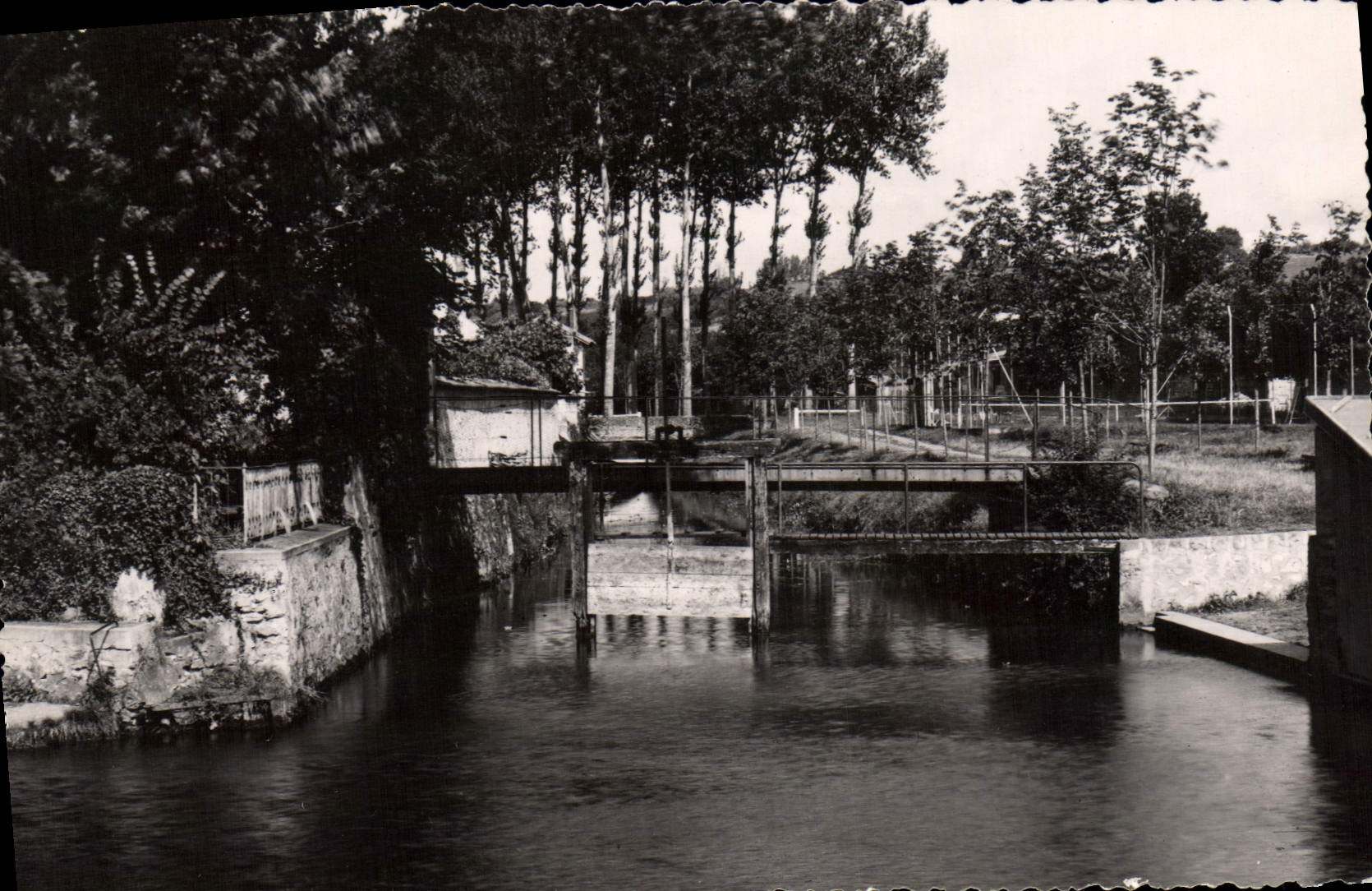 CPA Crecy en Brie S et M La Baignade et le Tennis 