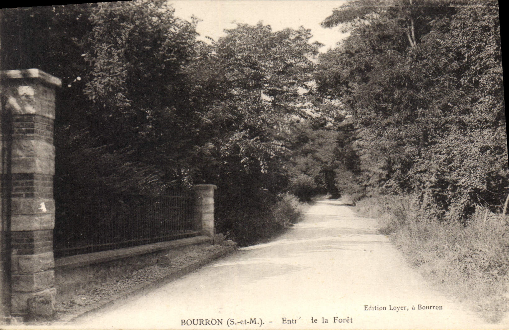 CPA Bourron S et M Entrée de la Foret