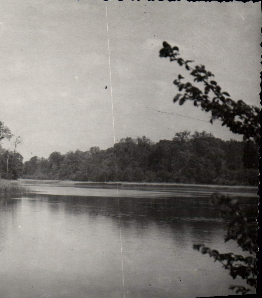 CPA Chaumes en Brie S et M Etang du Vivier 