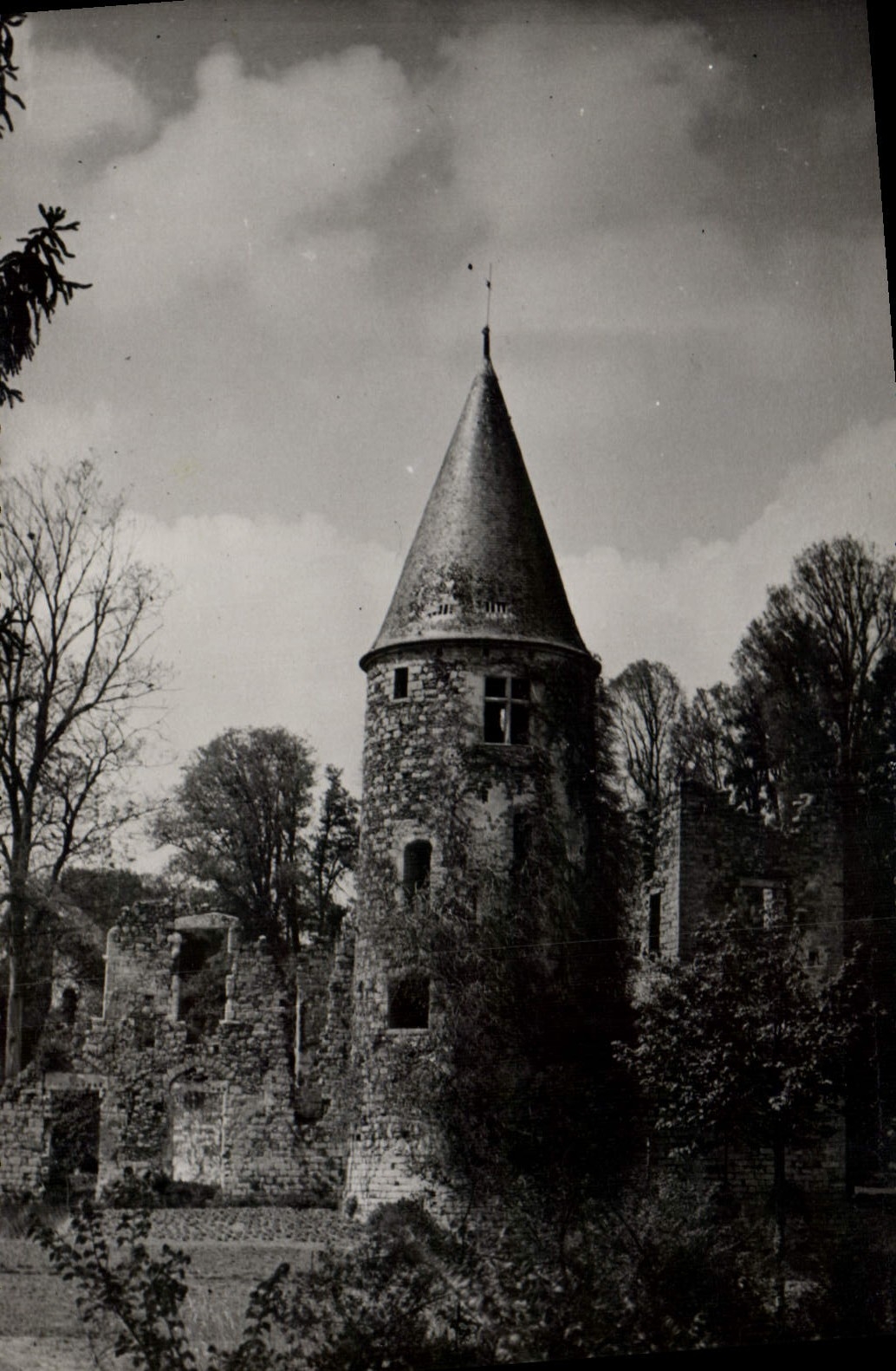 CPA Chaumes en Brie S et M Les ruines du Vivier IV 