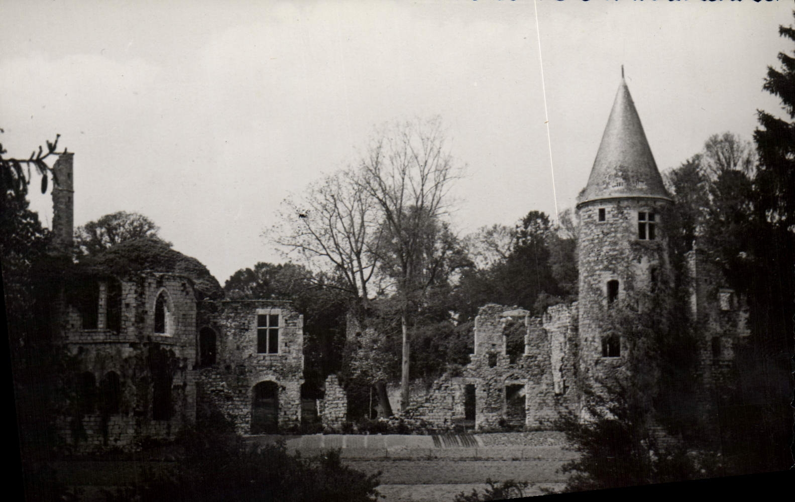CPA Chaumes en Brie S et M Les ruines du Vivier IV