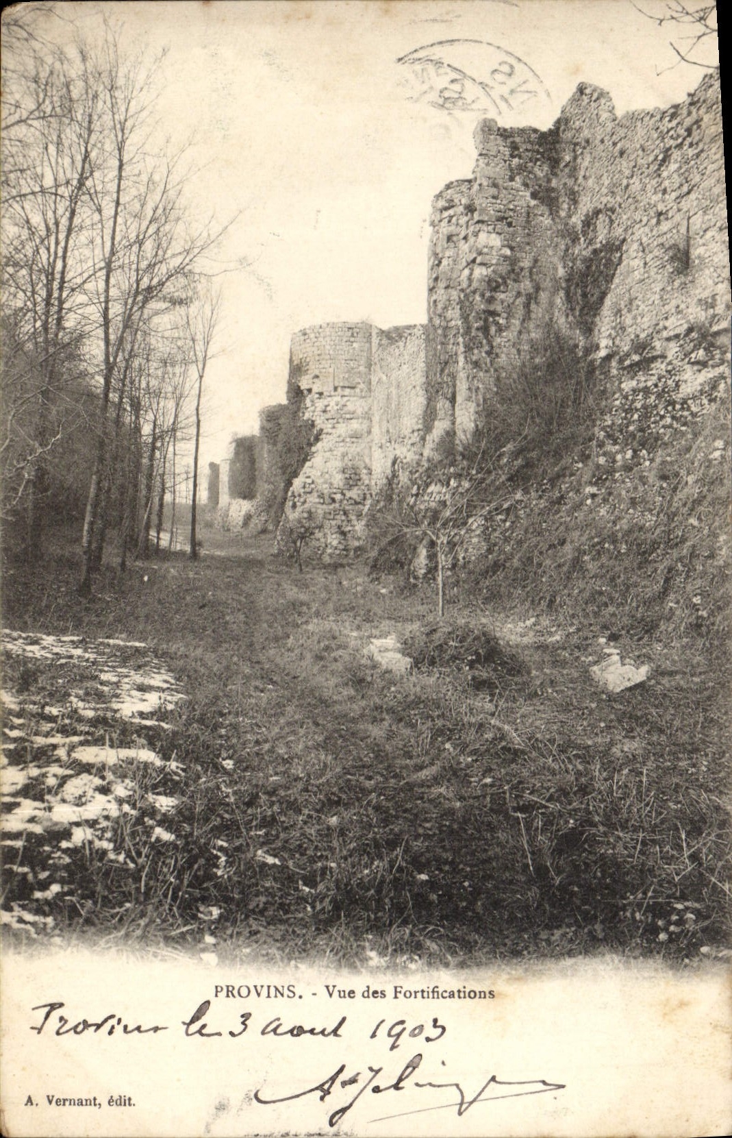 CPA Provins Vue des Fortifications 