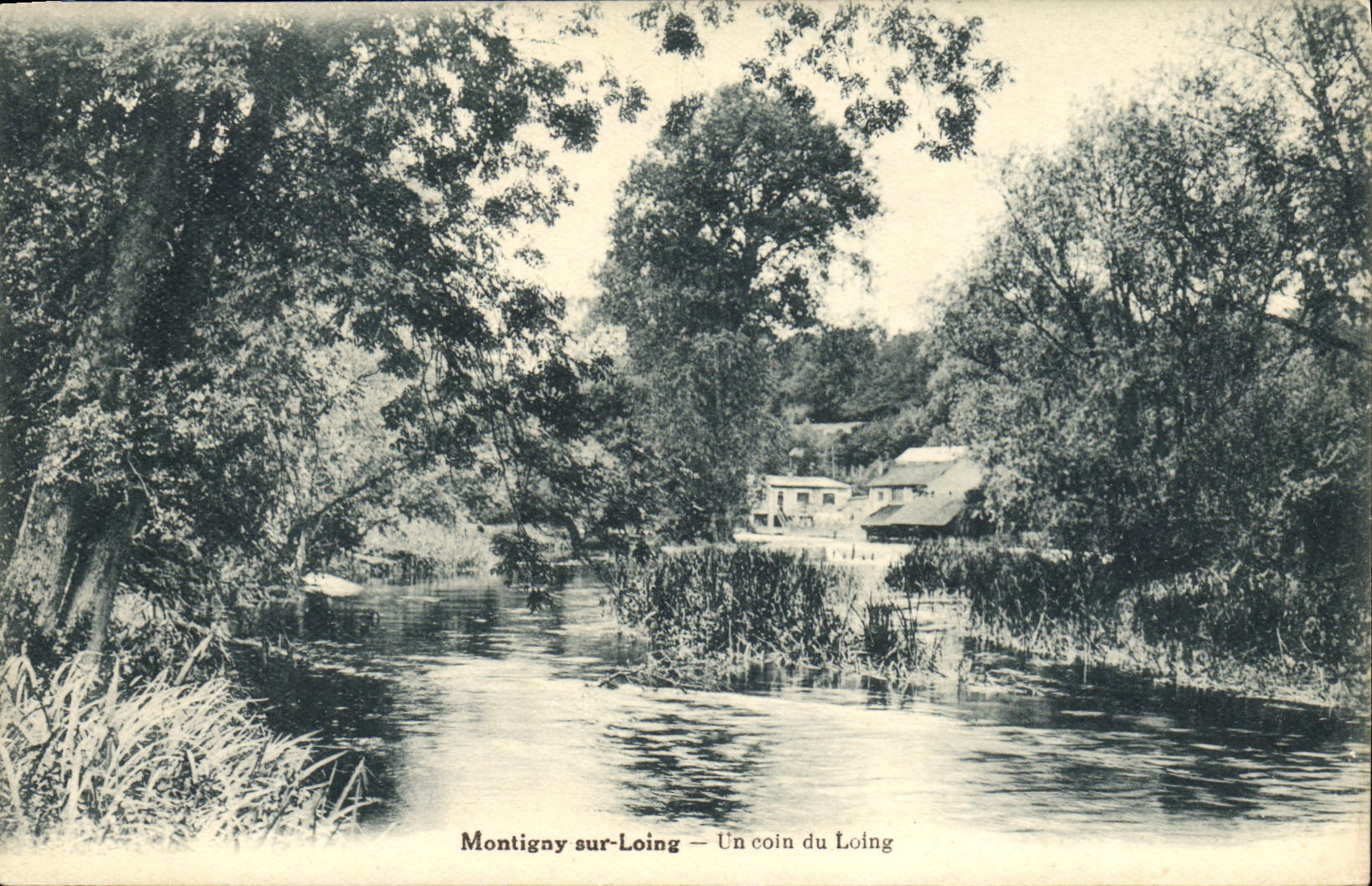 CPA Montigny sur Loing Un coin du Loing 