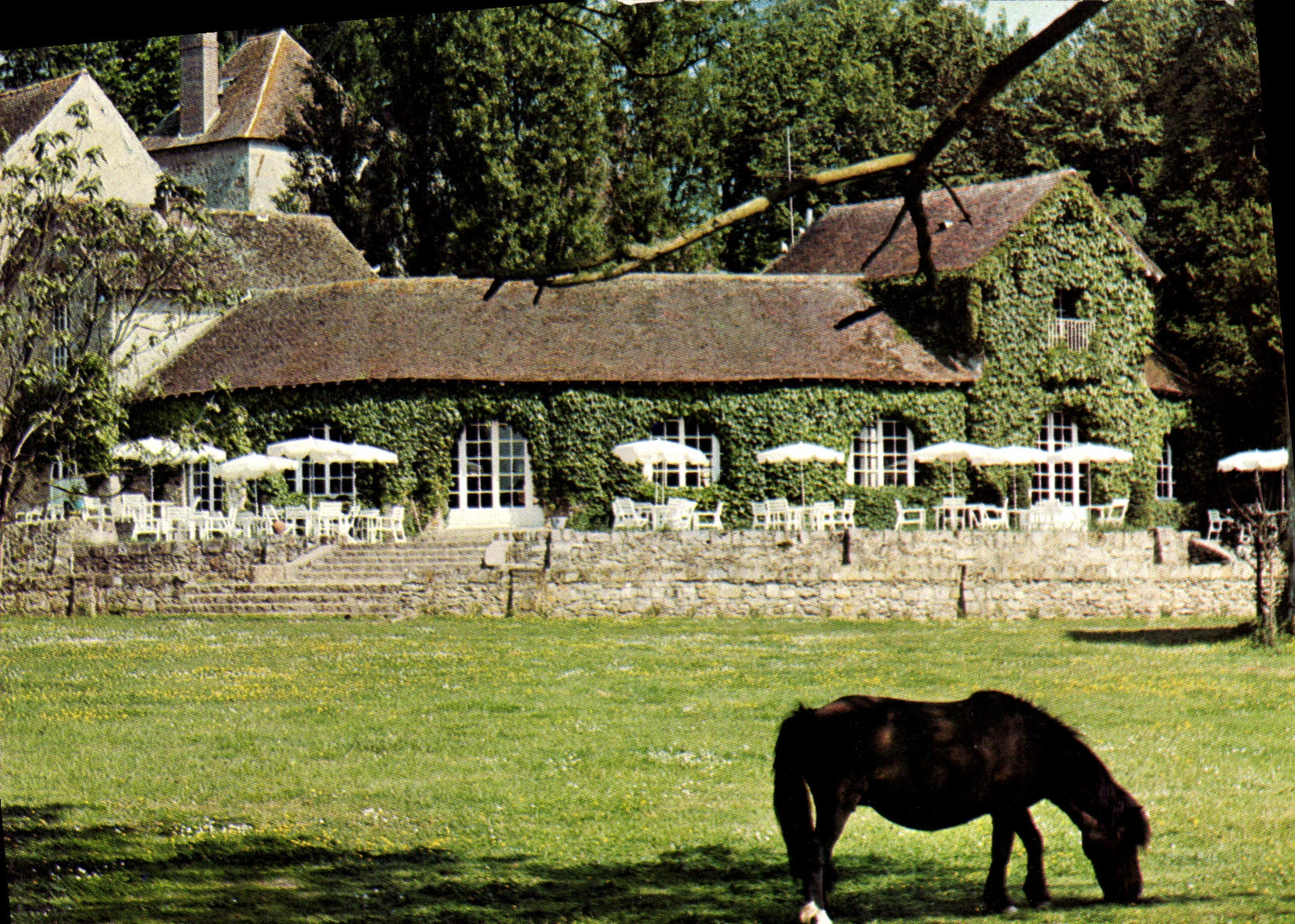 CPSM Fontenay Tresigny (Seine et Marne) Chateau Royal du Vivier Restaurant Salles de Reception Disco